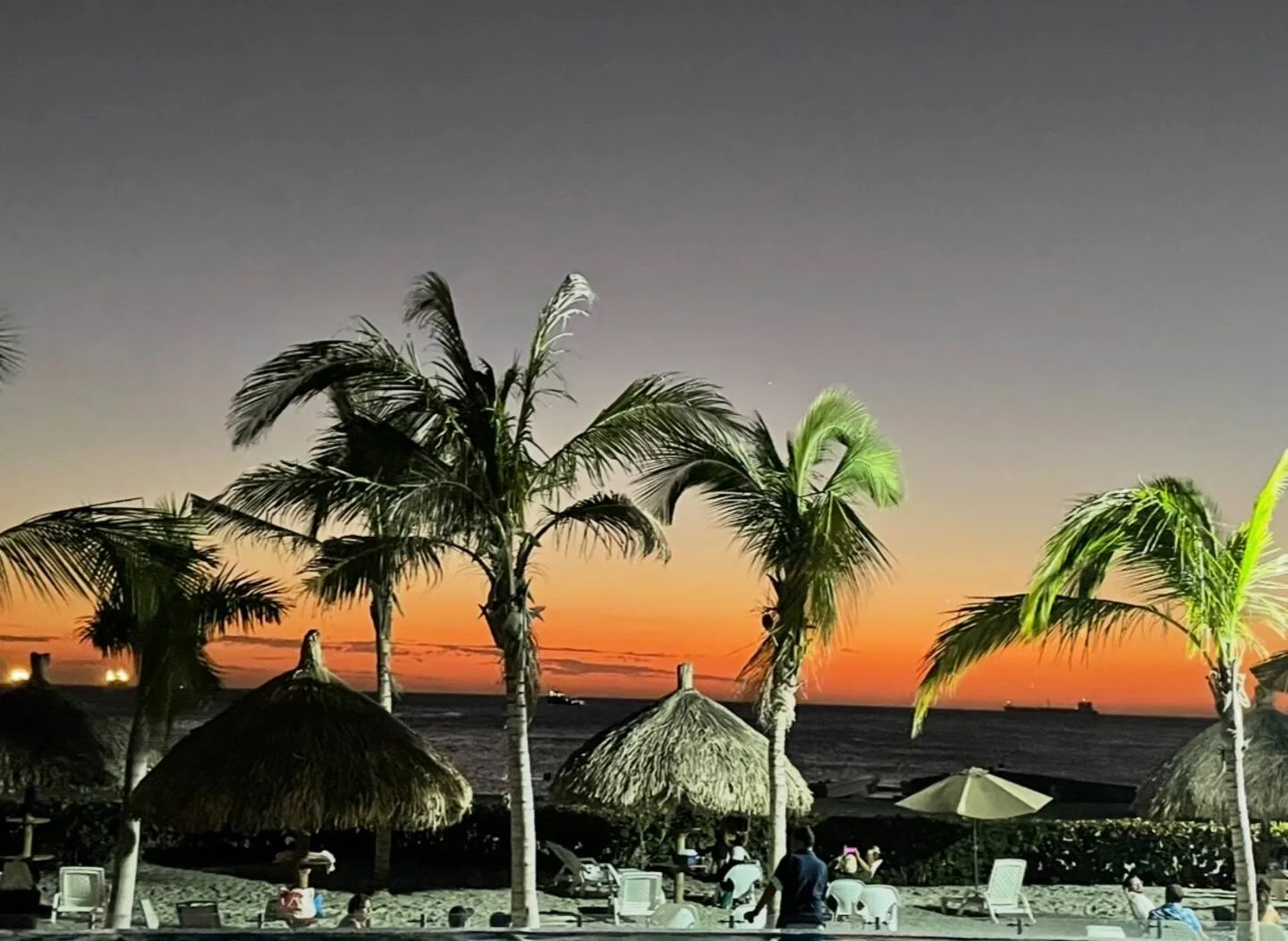 Palmeras recortadas contra el atardecer