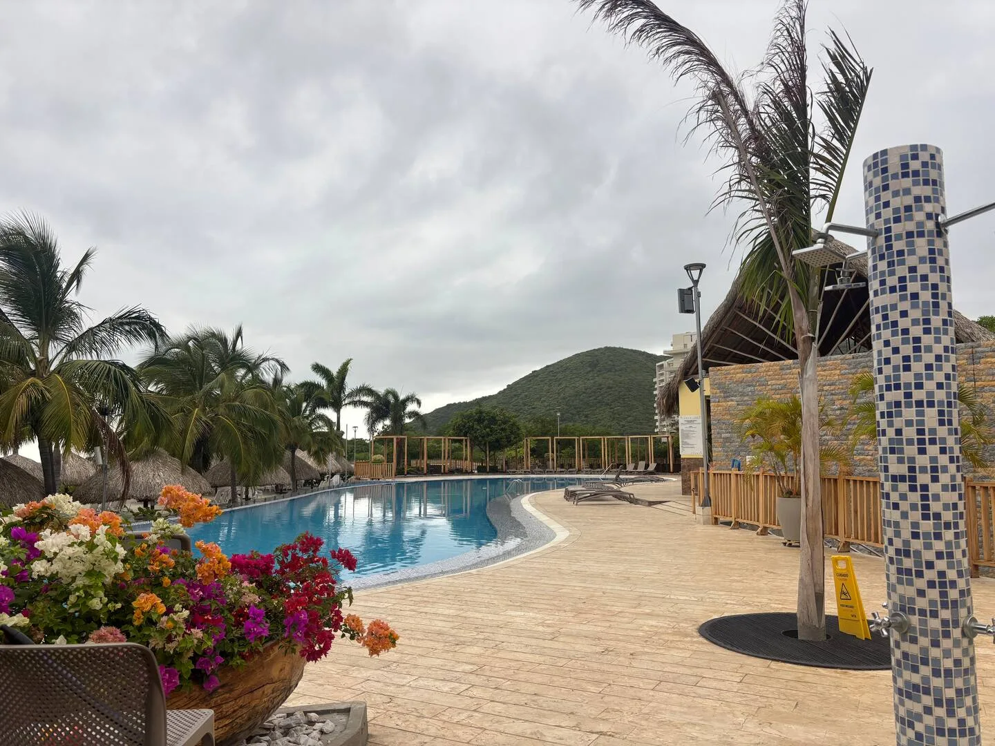 Zona de piscinas entre palmeras